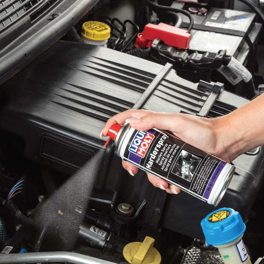 Marten Spray - 200 Ml - 1515