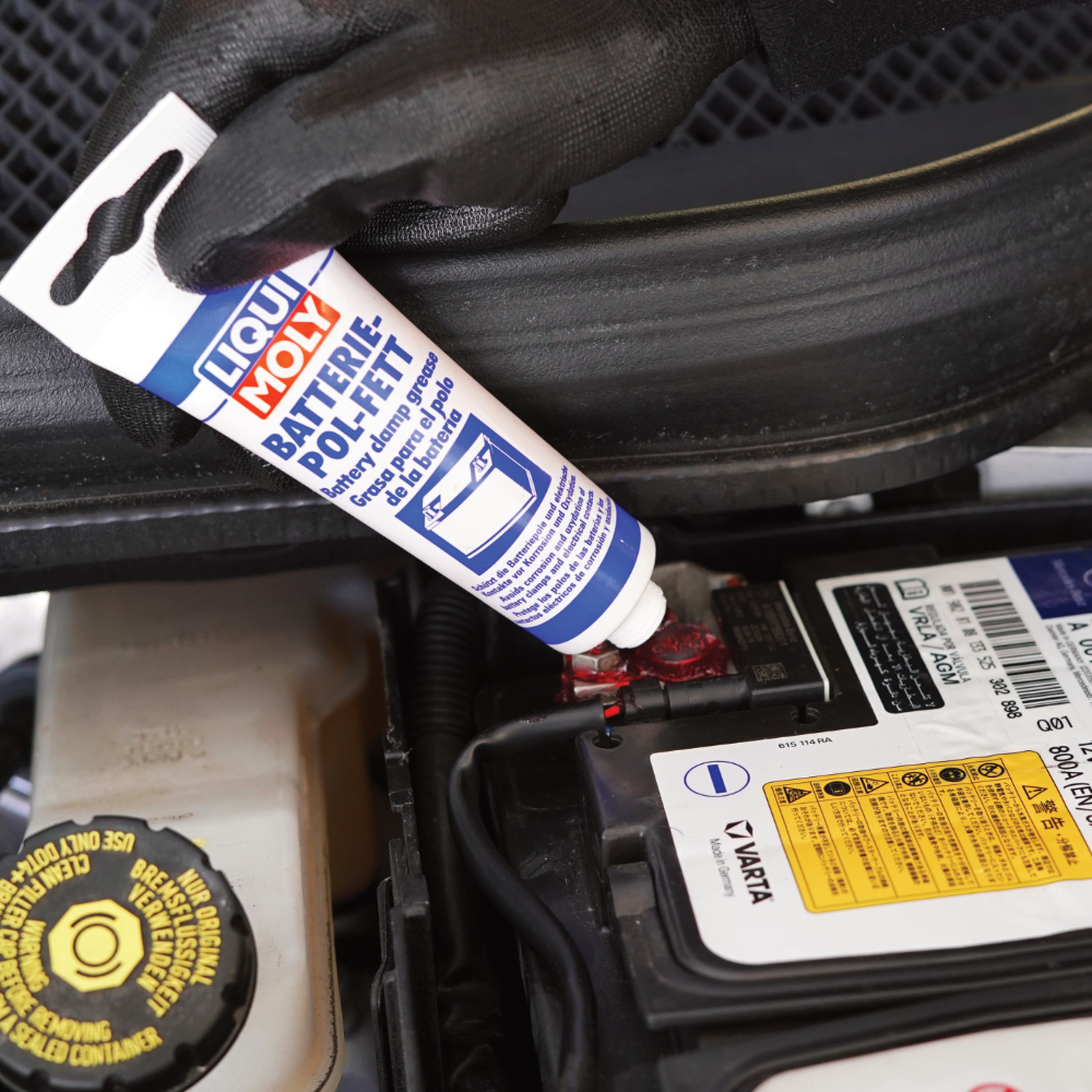 Battery Clamp Grease - 50 Grs - 3140