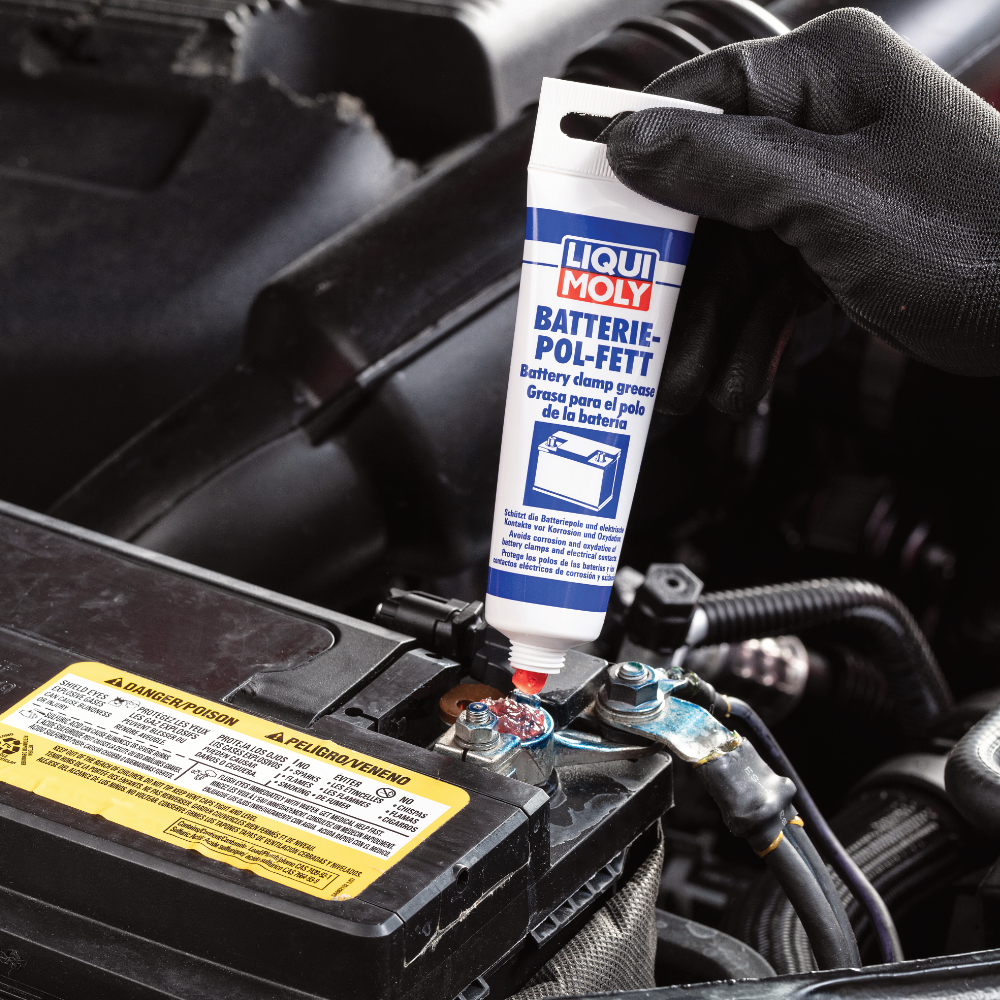 Battery Clamp Grease - 50 Grs - 3140