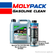 Moly Pack Gasoline Clean